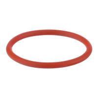 Кольцо уплотнительное IPT 100 NKS0002 купить в Москве с доставкой по всей России | ProtosMarket.ru