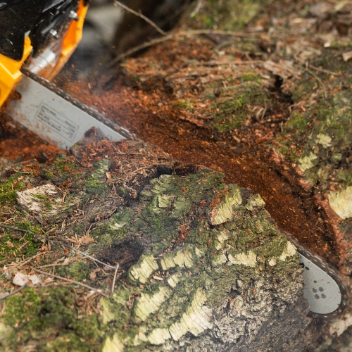 Пила цепная бензиновая DGS-4516, шина 40 см, 45 см3, 3 л.с, шаг 3/8, паз 1.3 мм, 57 звеньев Denzel по ценам производителя в Челябинске с доставкой по всей России