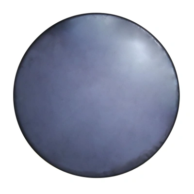 Диск для затирочной машины FTL PTSP-600 купить в Москве с доставкой по всей России | ProtosMarket.ru