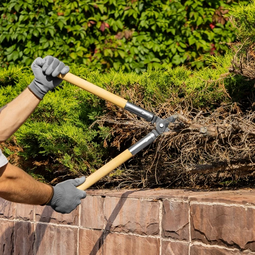 Сучкорез прямого реза, 500 мм, деревянные рукоятки, Горизонт, по ценам производителя в Челябинске с доставкой по всей России