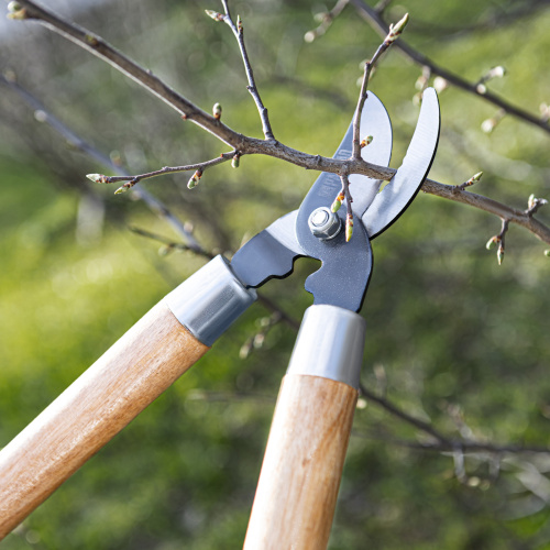 Сучкорез прямого реза, 640 мм, деревянные рукоятки, Palisad по ценам производителя в Челябинске с доставкой по всей России