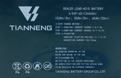 Аккумулятор свинцово-кислотный герм. (GEL) 12В/65Ач (20Hr) 223х135х177 для тележек WPT15-2 по ценам производителя в Челябинске с доставкой по всей России