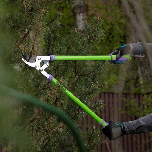 Сучкорез прямого реза, 750 мм, двухрычажный механизм, двухкомпонентные рукоятки, Palisad по ценам производителя в Челябинске с доставкой по всей России