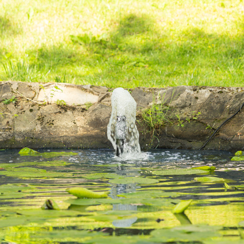 Насос фонтанный FNP90-39, 92 Вт, подъем 3,9 м, 3200 л/ч, колокольчик/каскад/гейзер Denzel по ценам производителя в Челябинске с доставкой по всей России