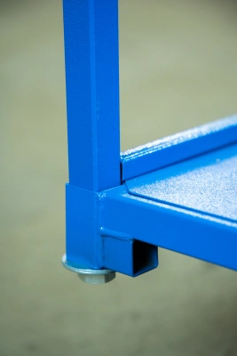 Тележка платформенная TOR ТП-2 (600х900) г/п 300 кг (125 мм) по ценам производителя в Челябинске с доставкой по всей России