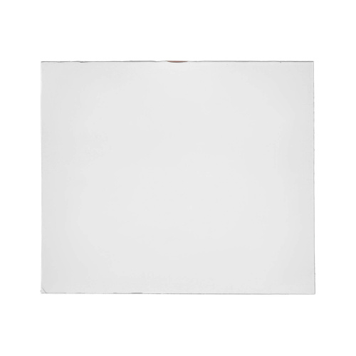 Пластина защитная поликарбонатная 133х114 по ценам производителя в Челябинске с доставкой по всей России