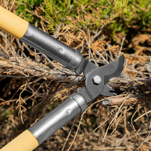 Сучкорез прямого реза, 500 мм, деревянные рукоятки, Горизонт, по ценам производителя в Челябинске с доставкой по всей России