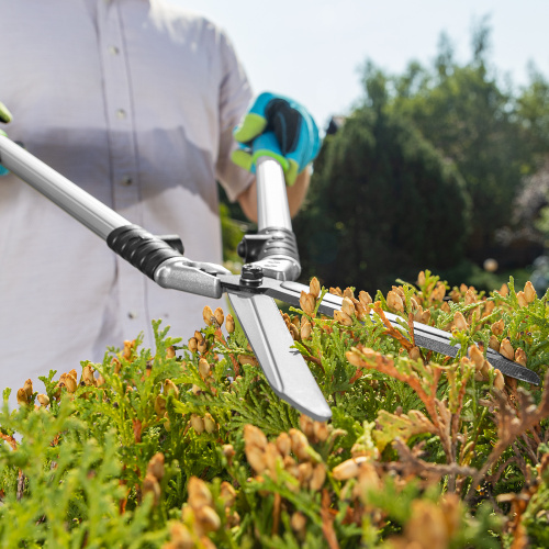 Кусторез, 600 мм, кованый, алюминиевые обрезиненные рукоятки, Forged LUXE Palisad по ценам производителя в Челябинске с доставкой по всей России