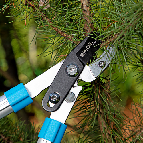 Сучкорез с наковальней, 560 - 740 мм, телескопические алюминиевые рукоятки, Luxe, Palisad по ценам производителя в Челябинске с доставкой по всей России