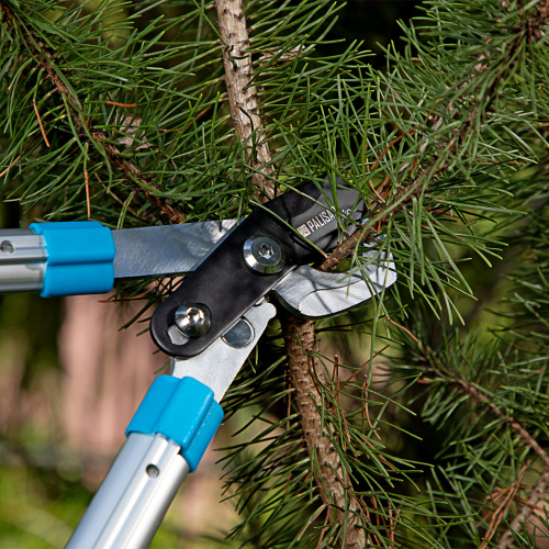 Сучкорез прямого реза, 560 - 735 мм, телескопические алюминиевые рукоятки, Luxe, Palisad по ценам производителя в Челябинске с доставкой по всей России