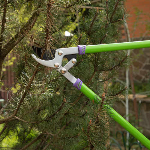 Сучкорез прямого реза, 750 мм, двухрычажный механизм, двухкомпонентные рукоятки, Palisad по ценам производителя в Челябинске с доставкой по всей России