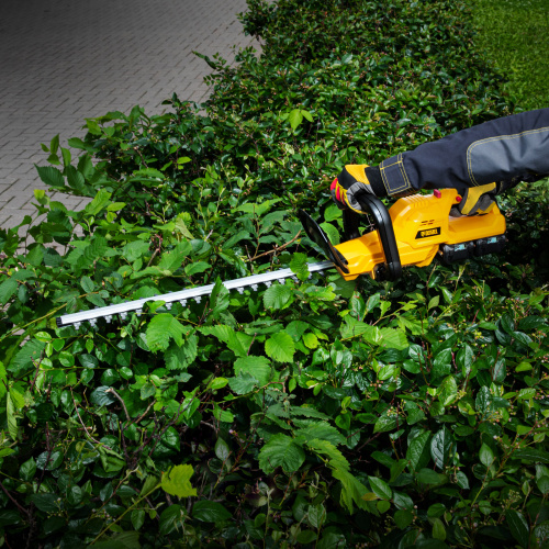 Кусторез аккумуляторный RBC510-36, Li-ion, 36 В, 4 Ач, нож 510 мм, поворотная ручка Denzel по ценам производителя в Челябинске с доставкой по всей России