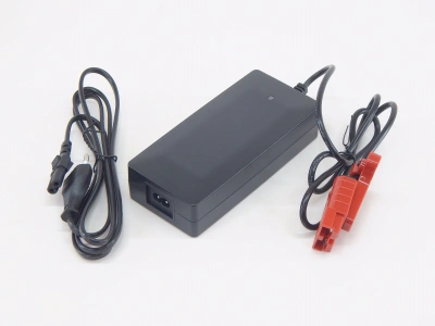 Зарядное устройство для тележек PPT/EPT18-20H 48V/2A (Charger) по ценам производителя в Челябинске с доставкой по всей России