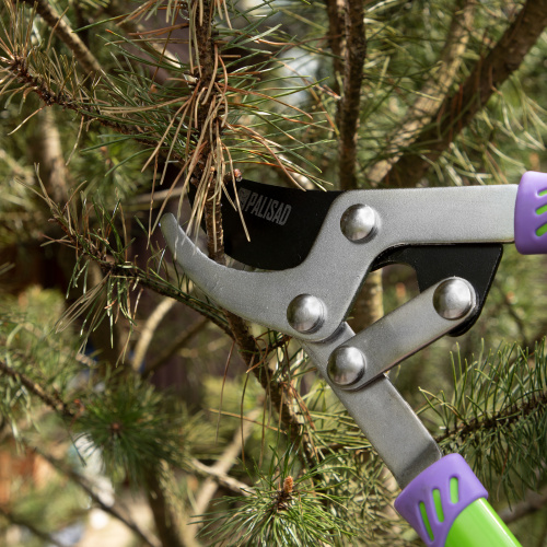 Сучкорез прямого реза, 750 мм, двухрычажный механизм, двухкомпонентные рукоятки, Palisad по ценам производителя в Челябинске с доставкой по всей России