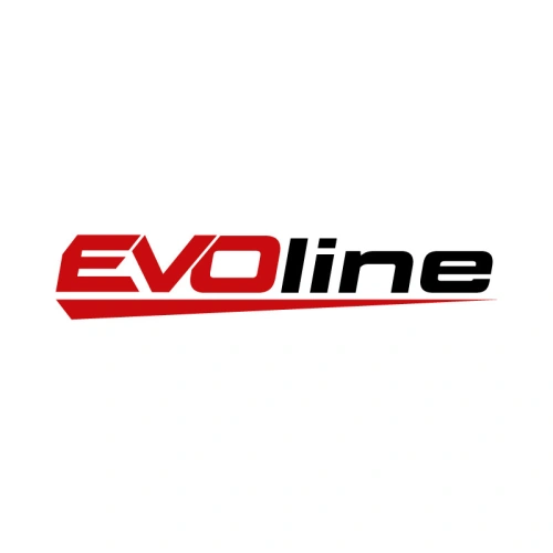 Двигатель бензиновый EVOline GB 270 BE (snow line) по ценам производителя в Челябинске с доставкой по всей России