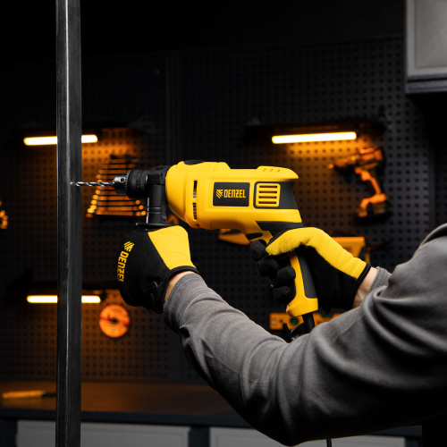 Дрель ударная ID-750, 750 Вт, 0-3000 об/мин, 48000 уд/мин Denzel по ценам производителя в Челябинске с доставкой по всей России