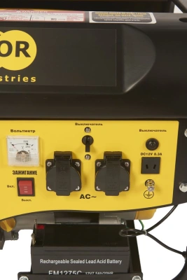 Генератор бензиновый 2,0 кВт 220В 15л с электростартером TOR TR2500E по ценам производителя в Челябинске с доставкой по всей России