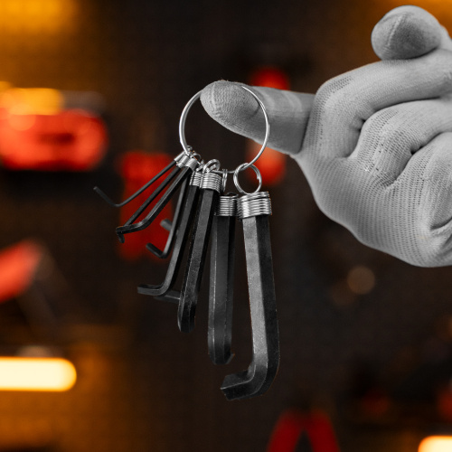 Набор ключей имбусовых HEX, 1.5-10 мм, CrV, 10 шт, оксидированные, на кольце Sparta по ценам производителя в Челябинске с доставкой по всей России